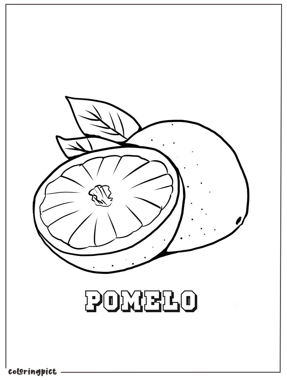 printable pomelo coloring for kids