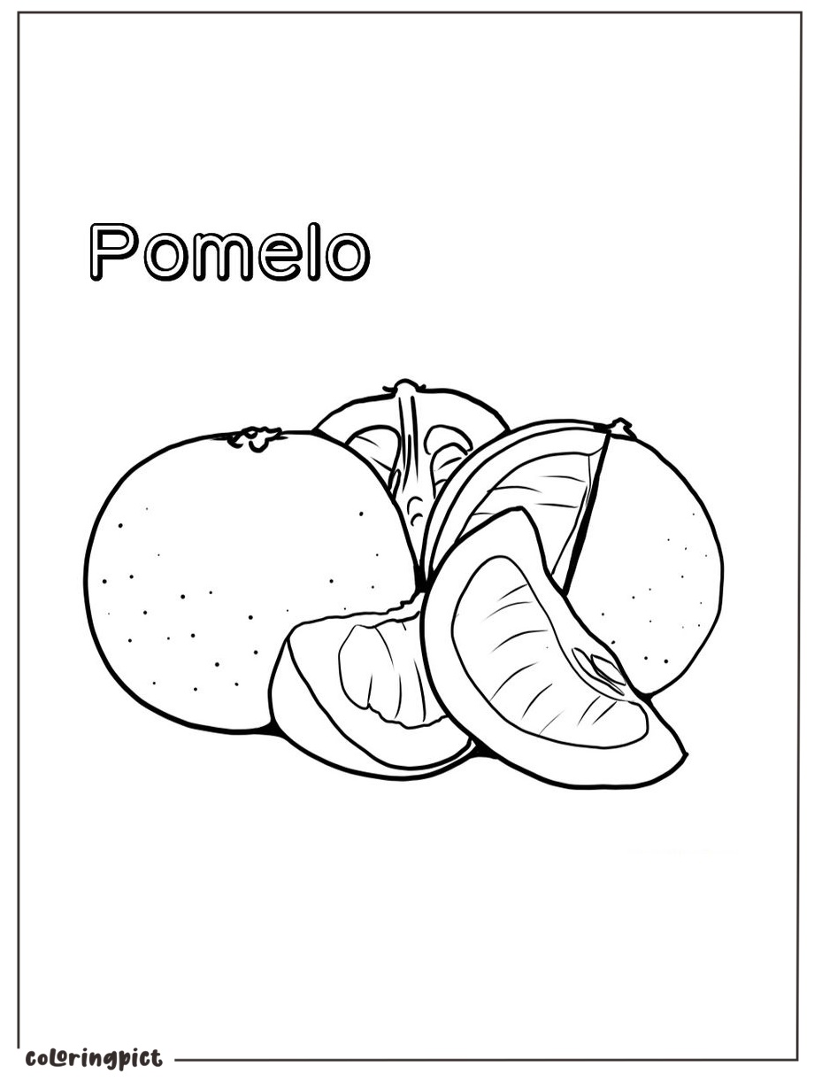 printable pomelo coloring page for kid
