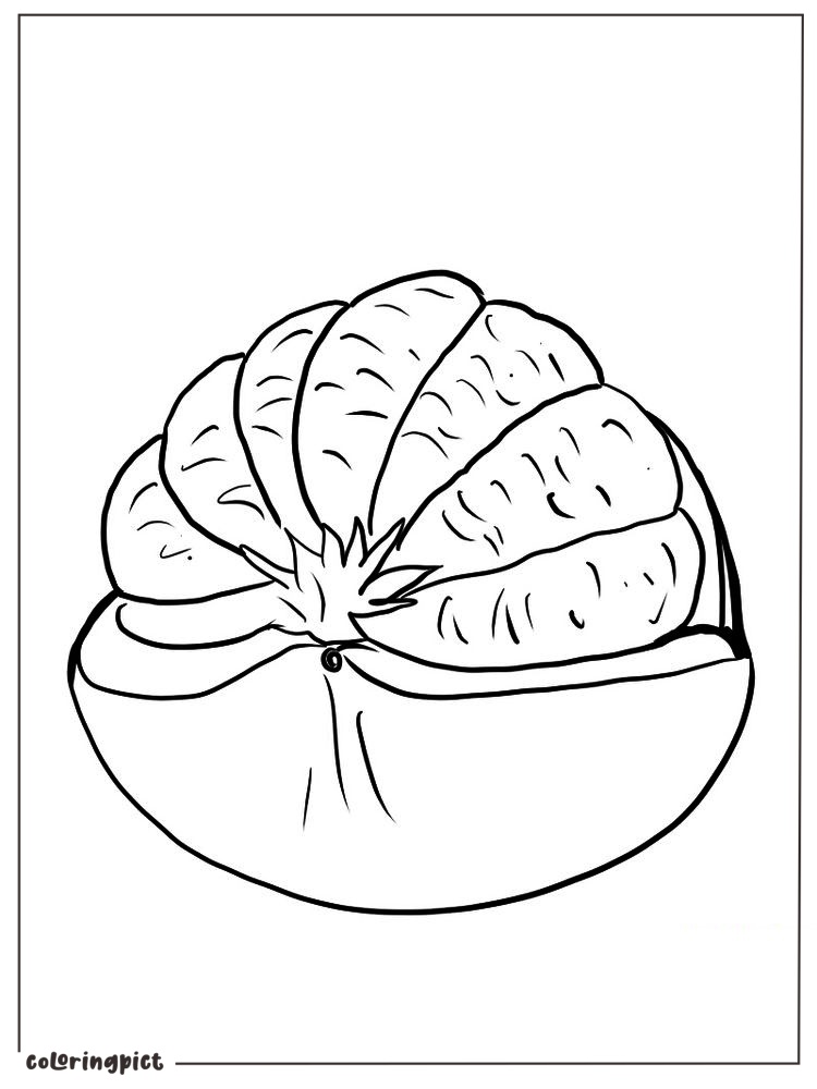 printable pomelo coloring page for kids