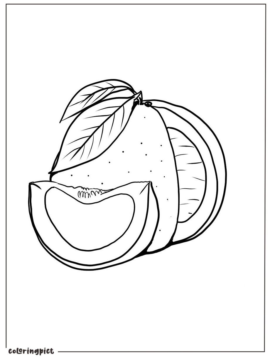 printable pomelo coloring pict for kids