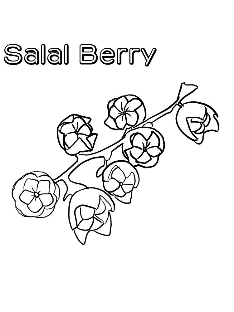 printable salal berry coloring page