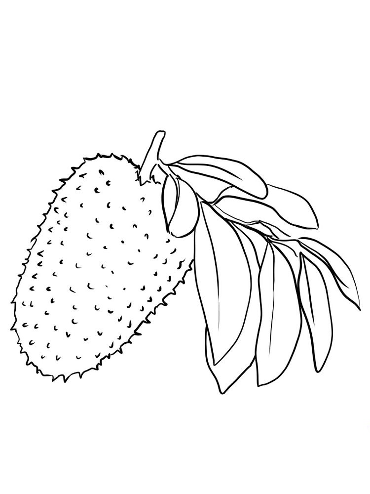 printable soursop coloring pages print