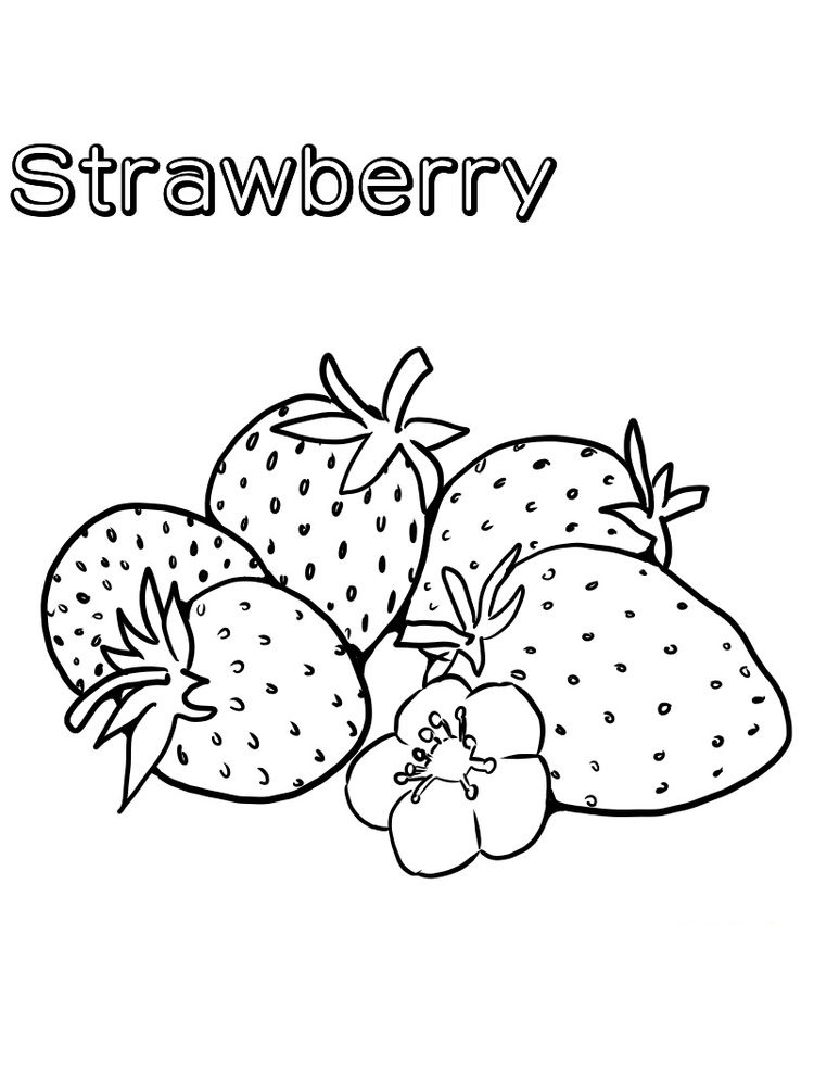 Strawberry Coloring Pages for Kids, Sweet and Fun Creative Activities 4 printable strawberry coloring pages free