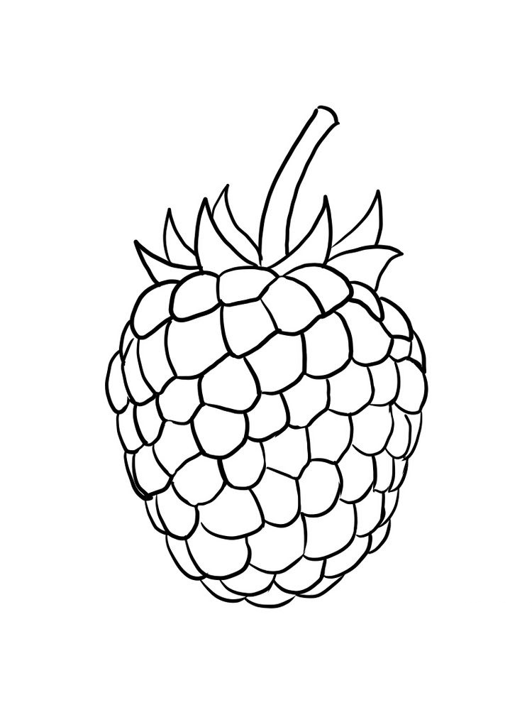 Delicious Red Fruit, Raspberry Coloring Page 4 raspberry coloring image free