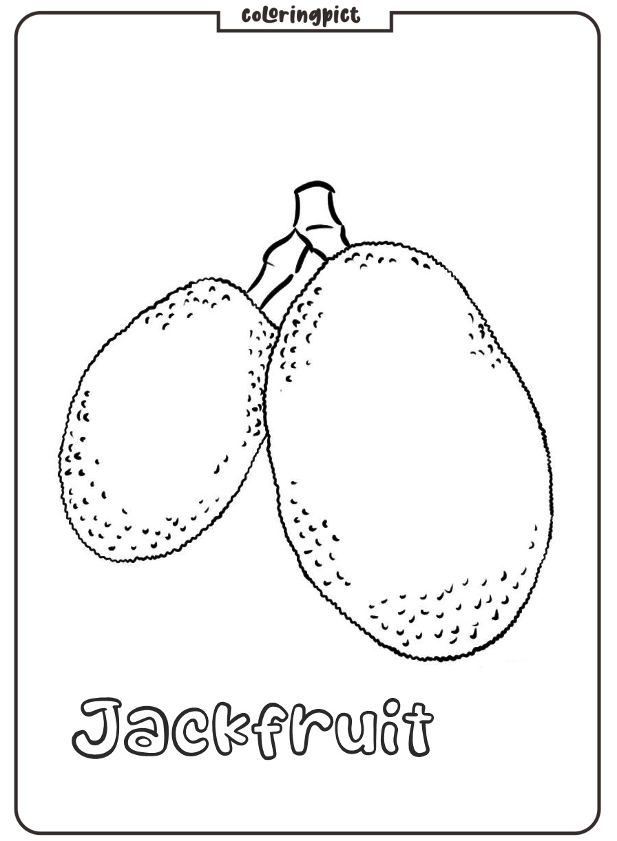 Big and Delicious Tropical Fruits, Jackfruit Coloring Page 4 to print jackfruit coloring images free