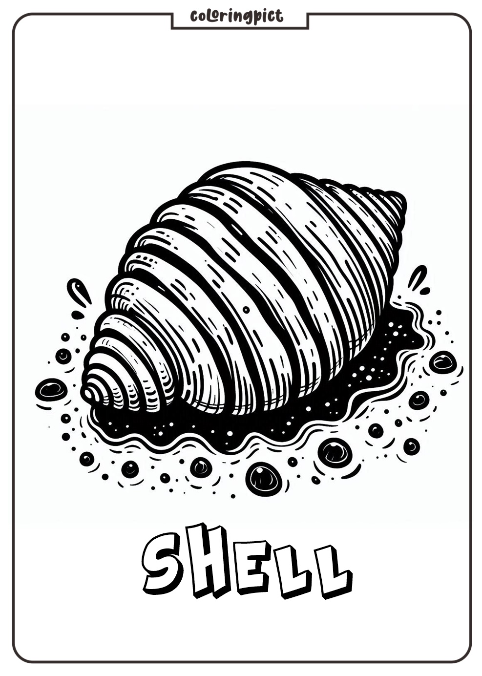 Coloring Page Of A Shell