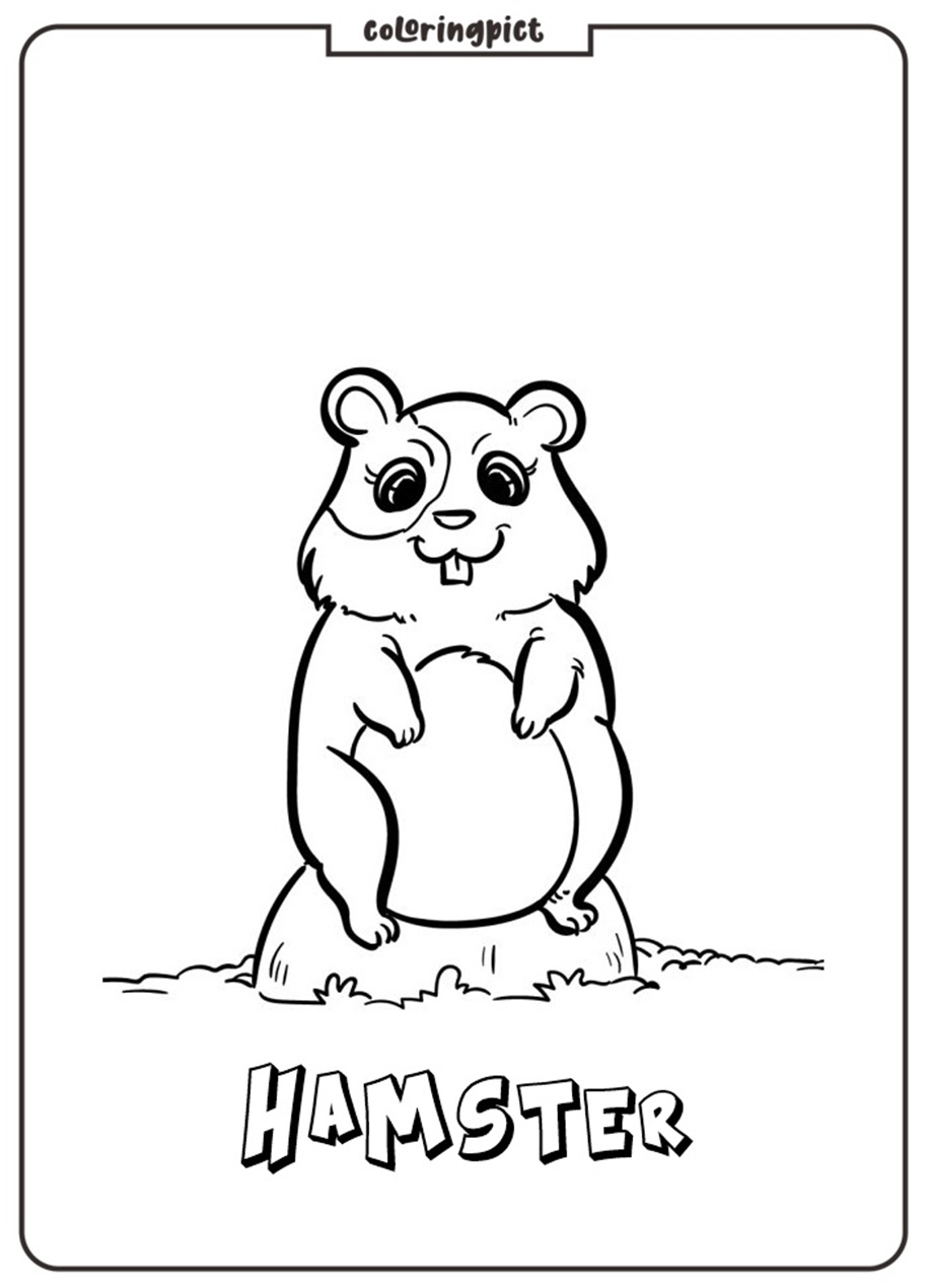 Hamster Coloring Pages for Kids
