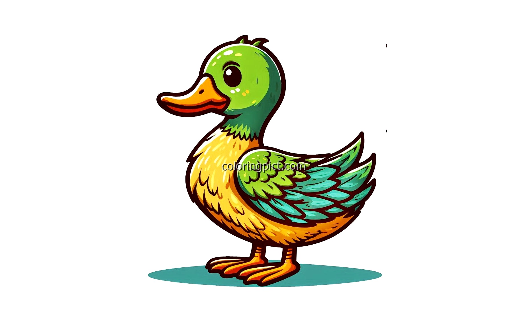 Cute and Friendly Duck Coloring Page 6 Image Duck Coloring