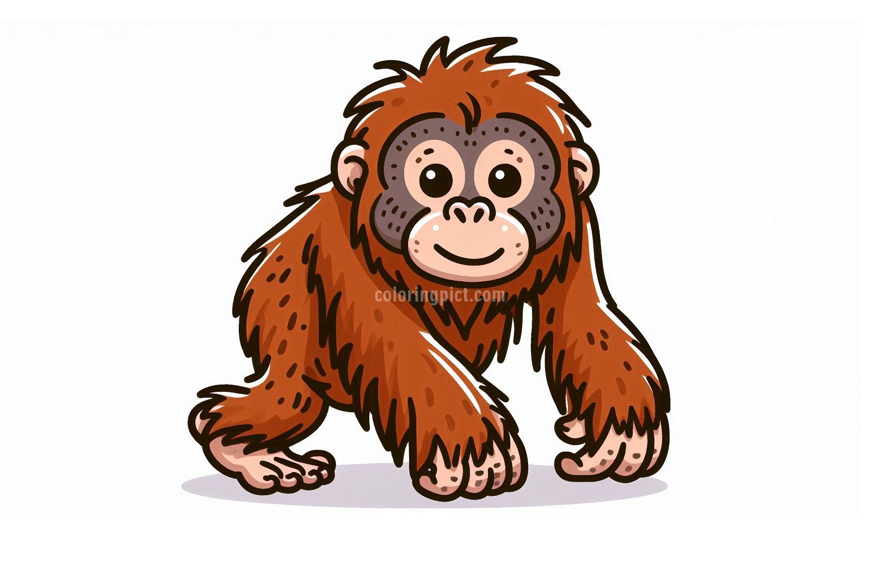 Image is Orangutan Coloring