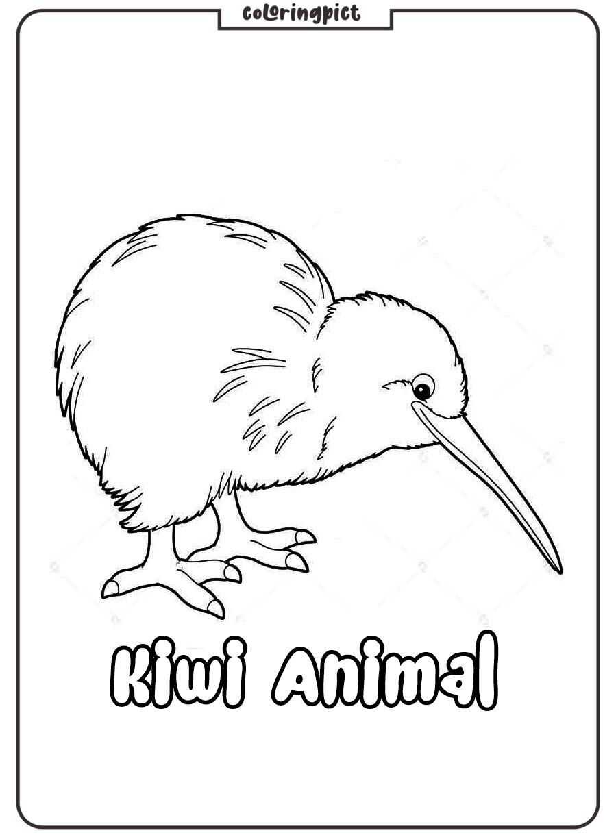 Kiwi coloring page printable