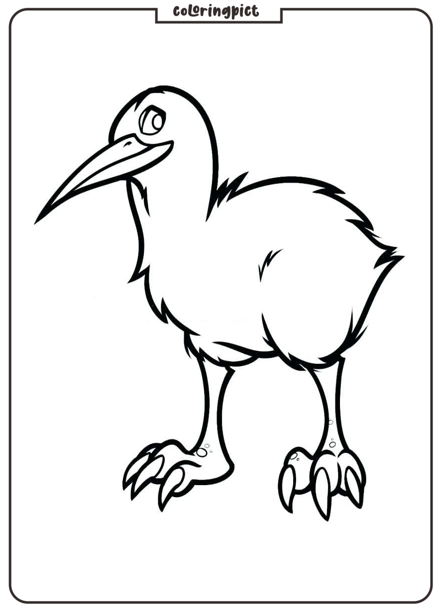 Kiwi coloring page