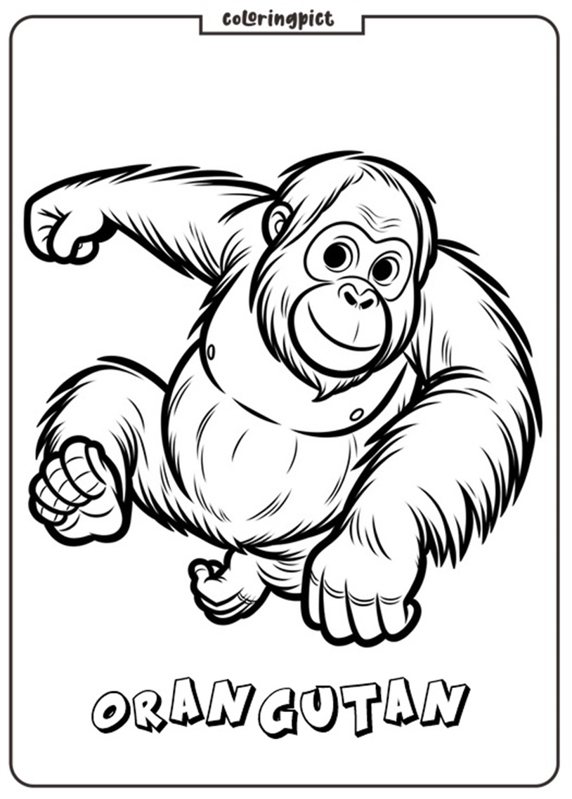 Orangutan Coloring Pages