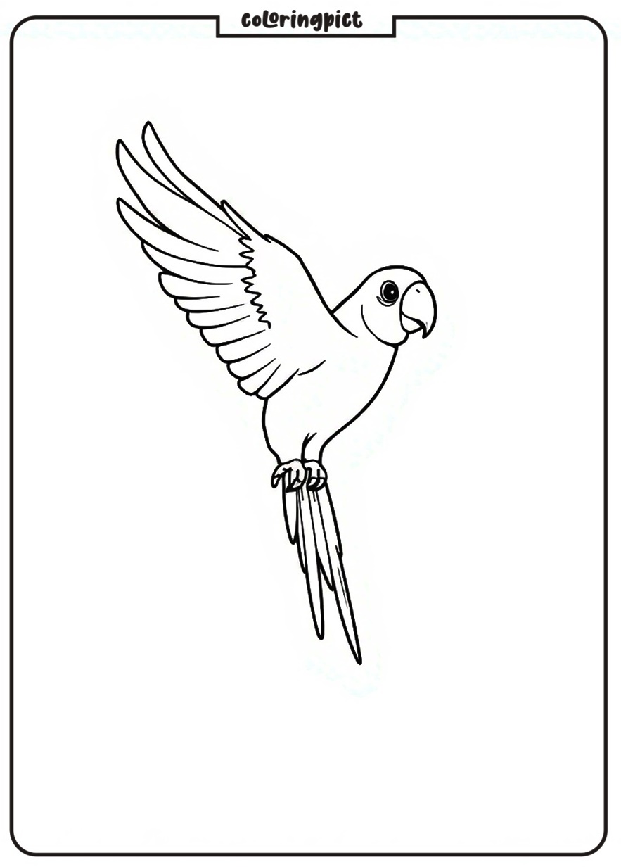 Parrot in Flight Coloring Page 1 Parrot Coloring Page