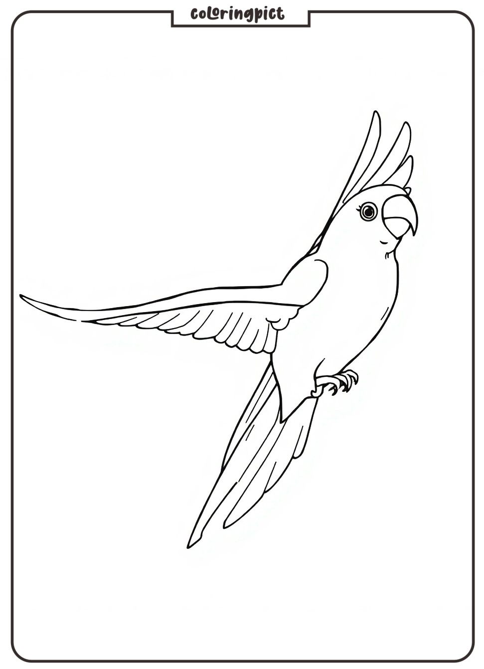 Parrot in Flight Coloring Page 2 Parrot Coloring Pages