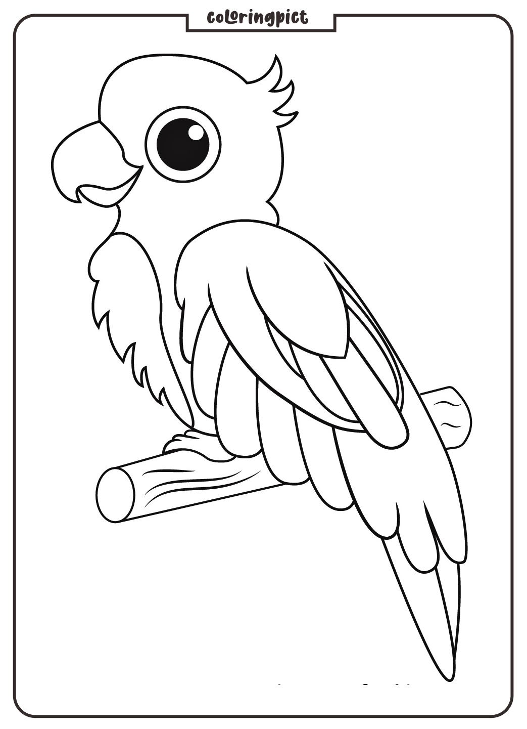 Parrot Coloring Pages Free Download