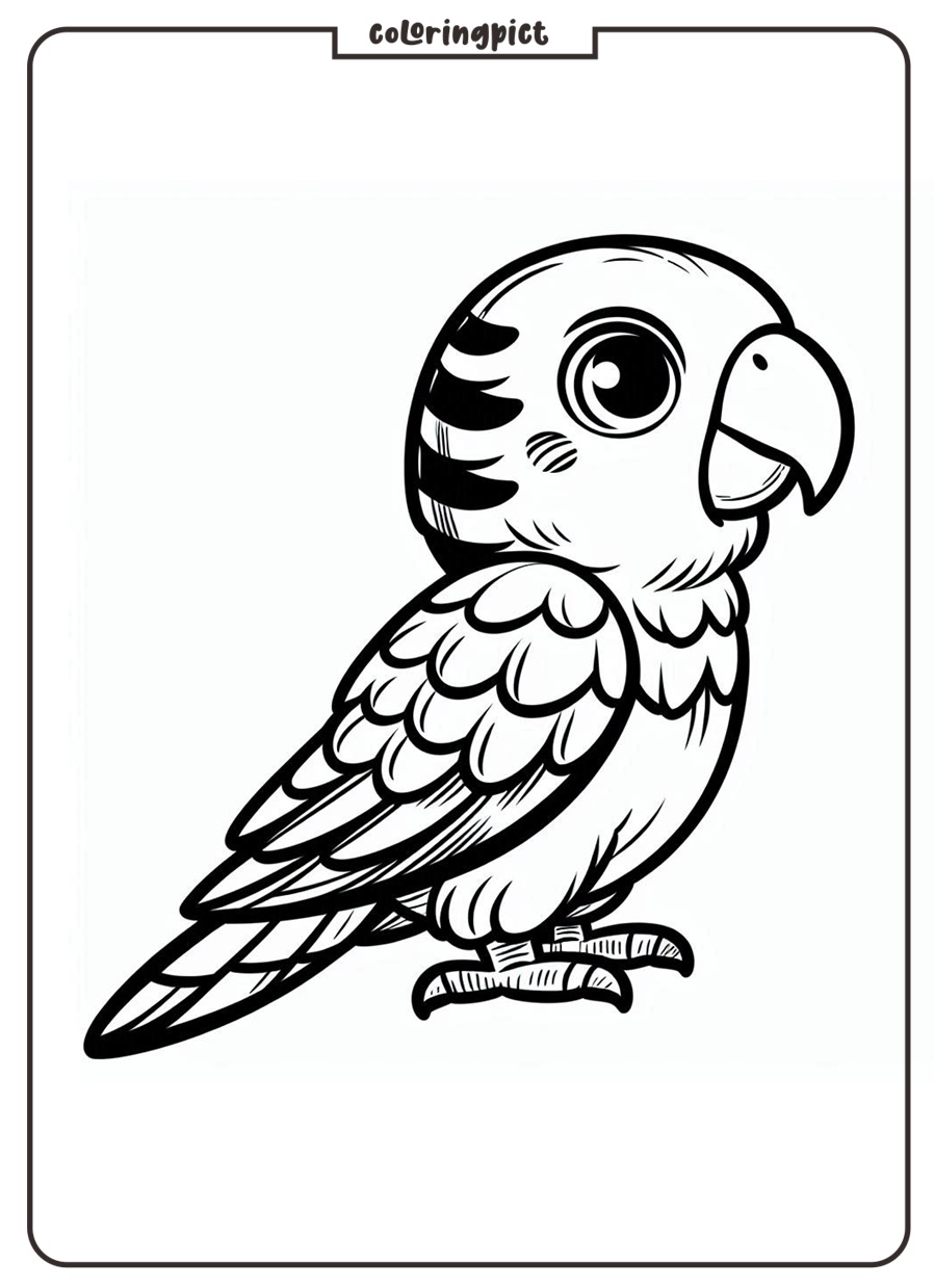 Parrot Coloring Pages