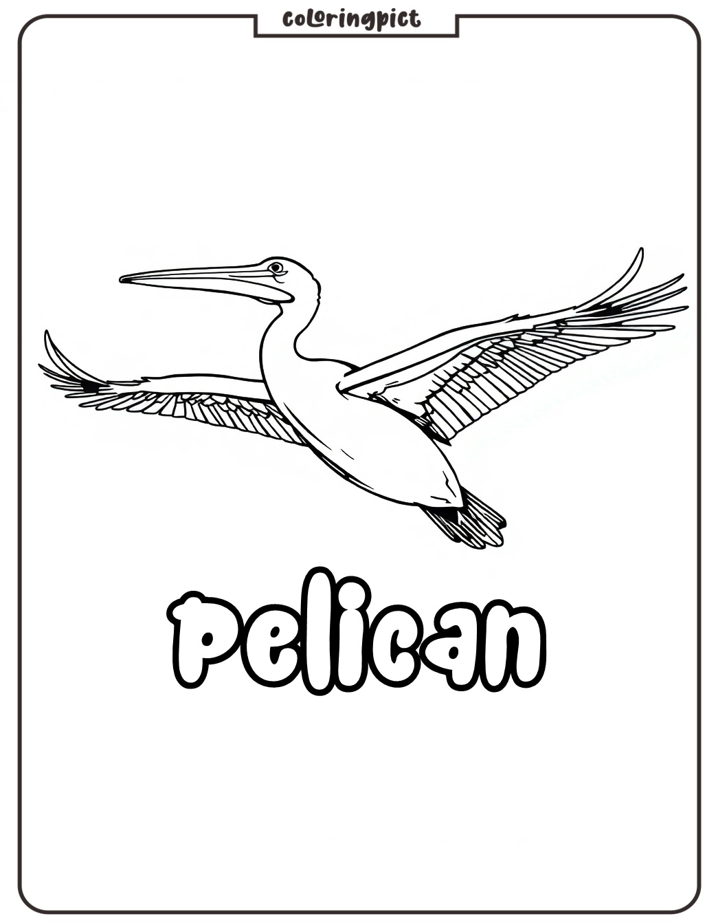 Pelican in Flight Coloring Pages