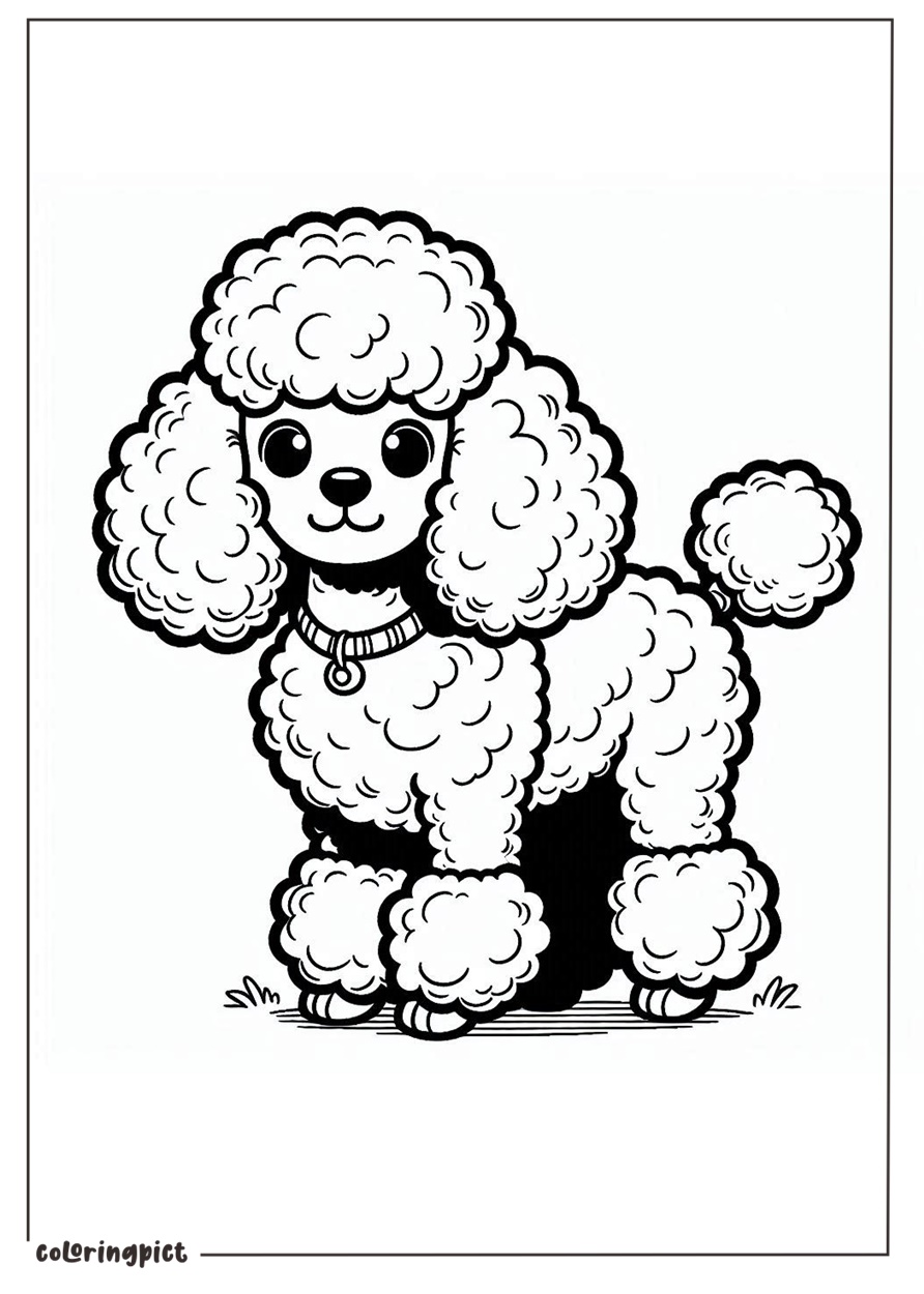 Poodle Coloring Page for Kids