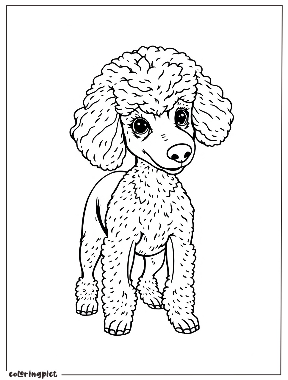 Poodle Coloring Page