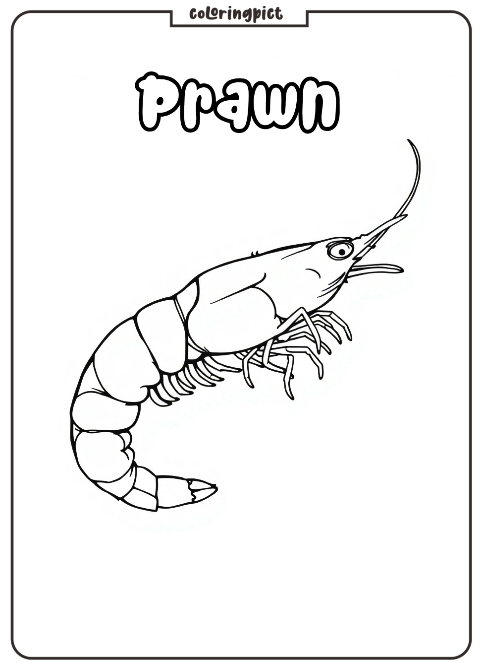 Prawn Coloring Page