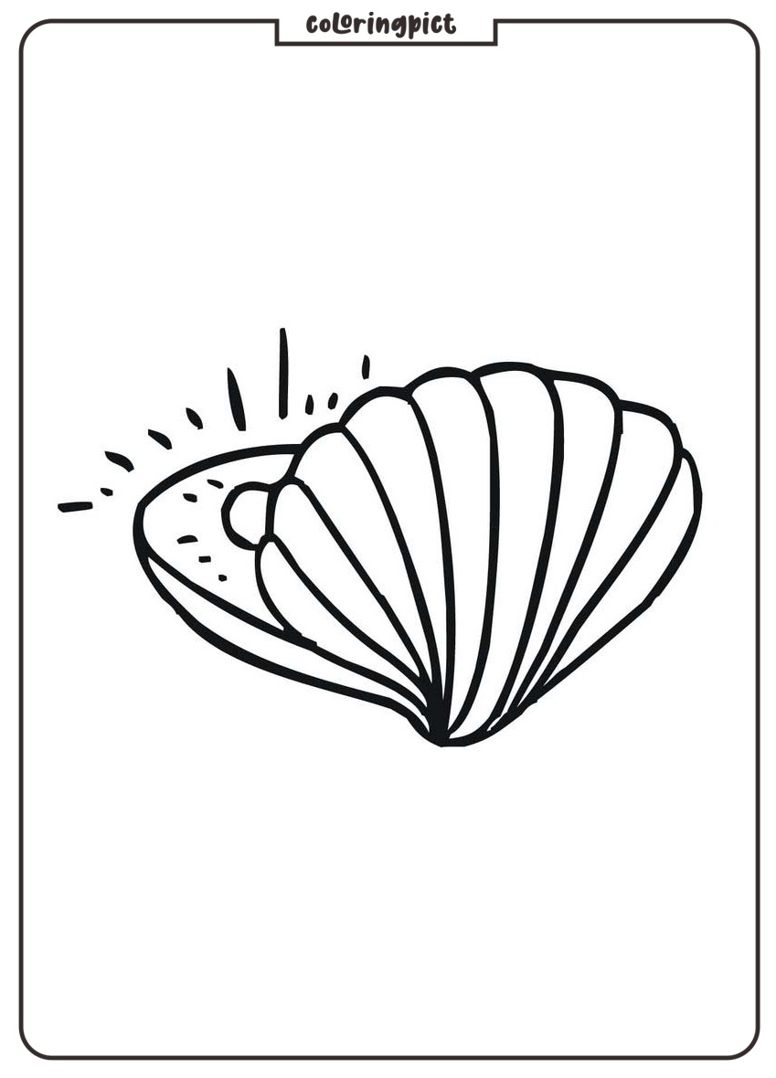 Printable Coloring Page Of A Shell