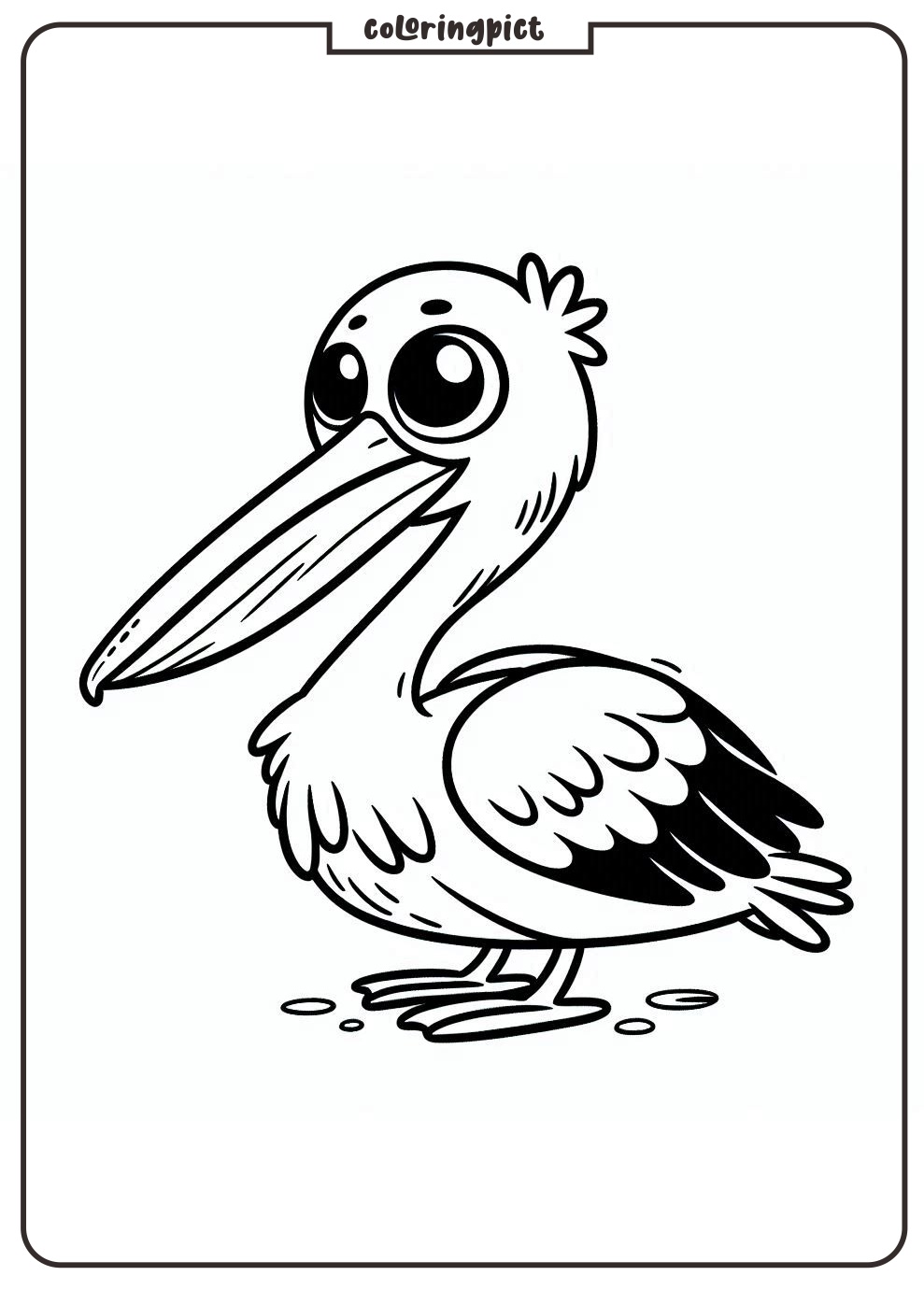 Printable pelican coloring page for kids