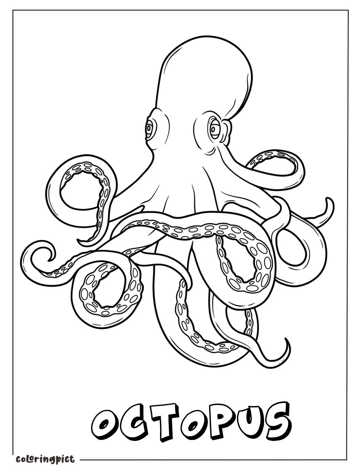 Sea Animals Octopus Coloring Pages 4 Realistic Octopus Coloring Page
