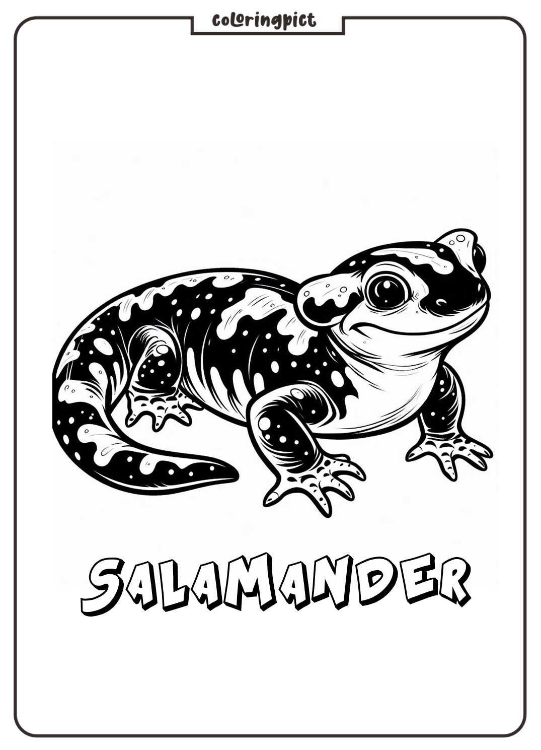 Slide into Fun with Salamander Coloring Pages 2 Salamander Coloring Page for Kid