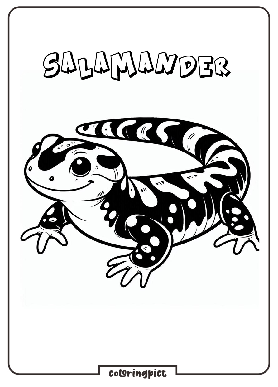 Slide into Fun with Salamander Coloring Pages 3 Salamander Coloring Page for Kids
