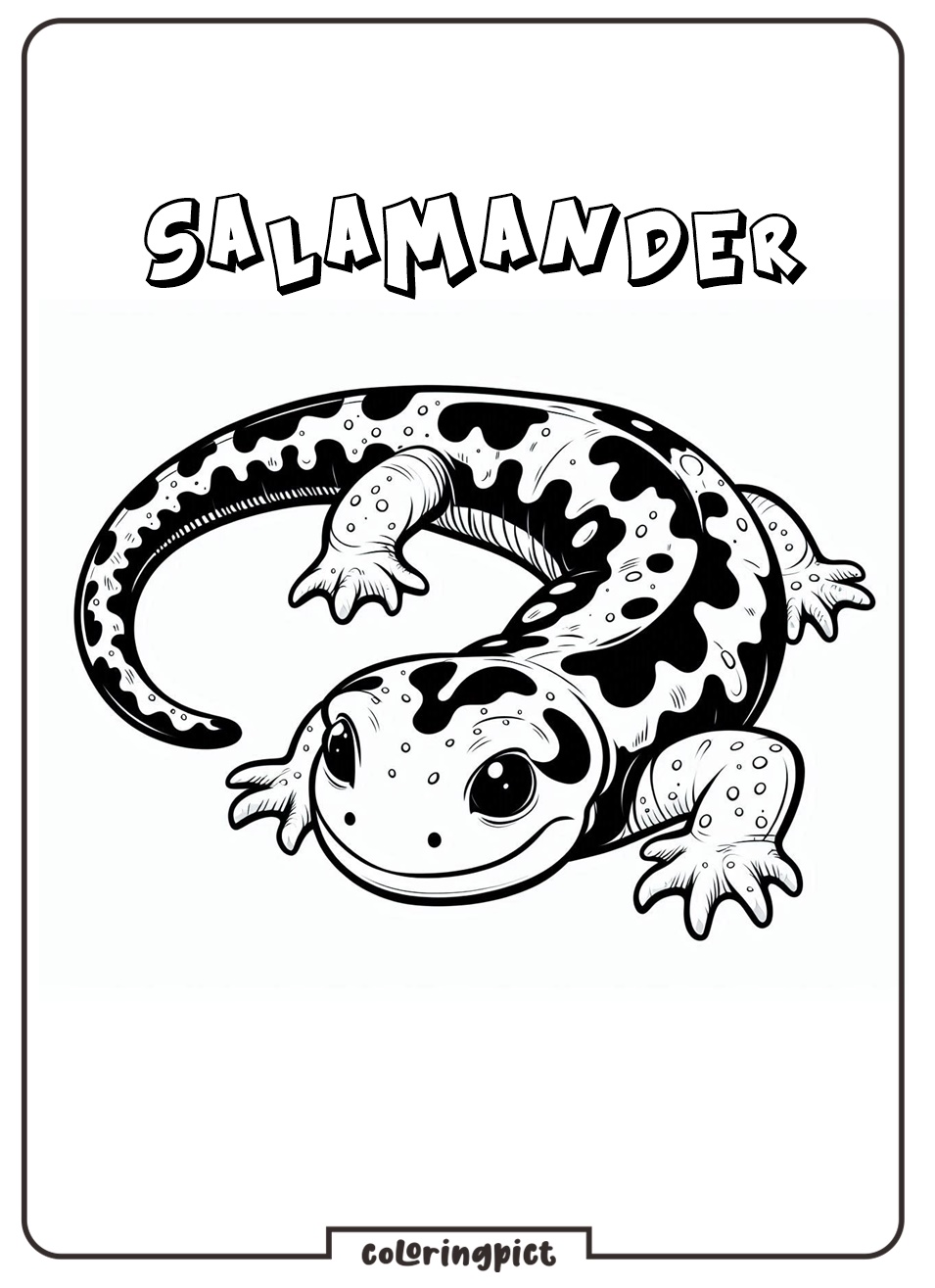 Slide into Fun with Salamander Coloring Pages 4 Salamander Coloring Pages for Kids
