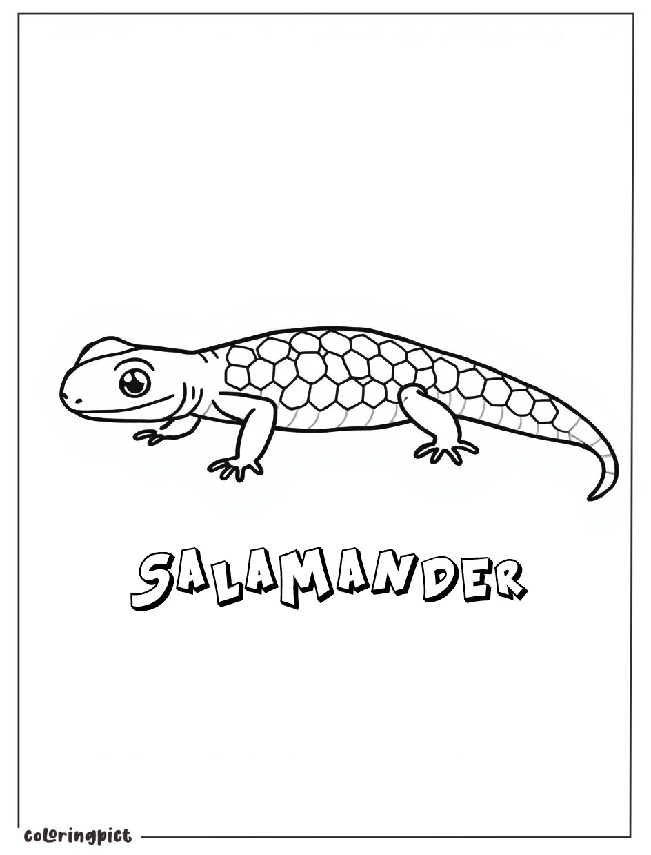 Slide into Fun with Salamander Coloring Pages 5 Salamander Coloring Pages