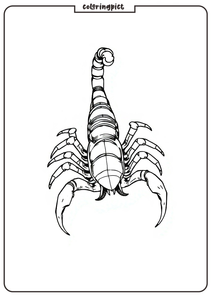 Scorpion Coloring Page