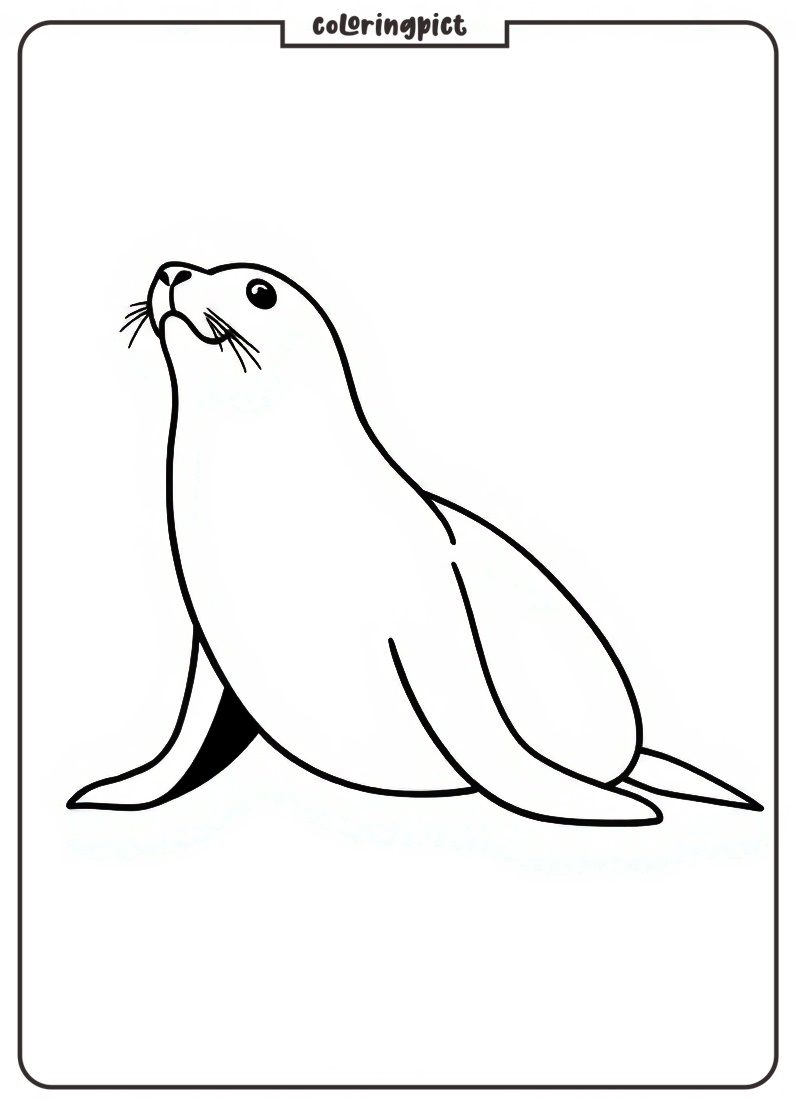 Seal Coloring Page Printable