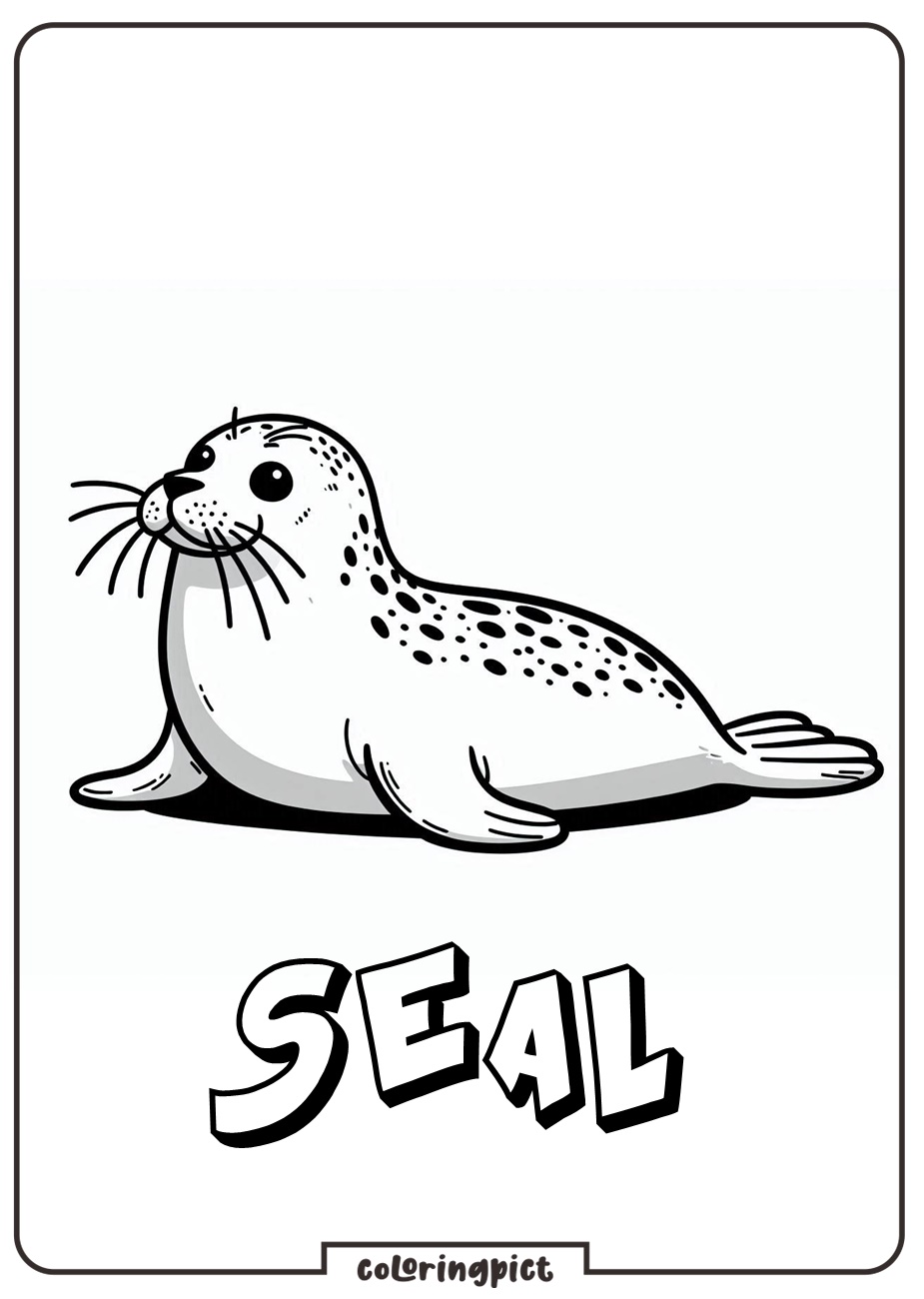 Seal Coloring Page for Kid