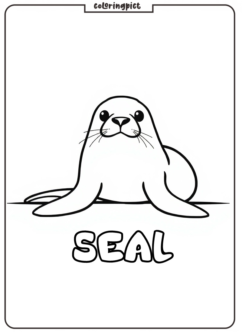 Seal Coloring Page for Kids