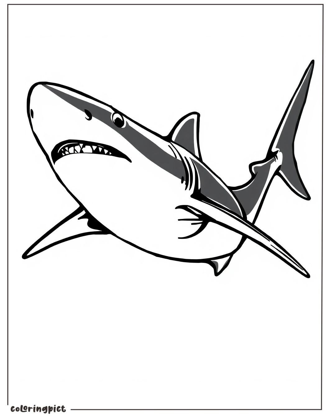 Shark Coloring Pages Printaable