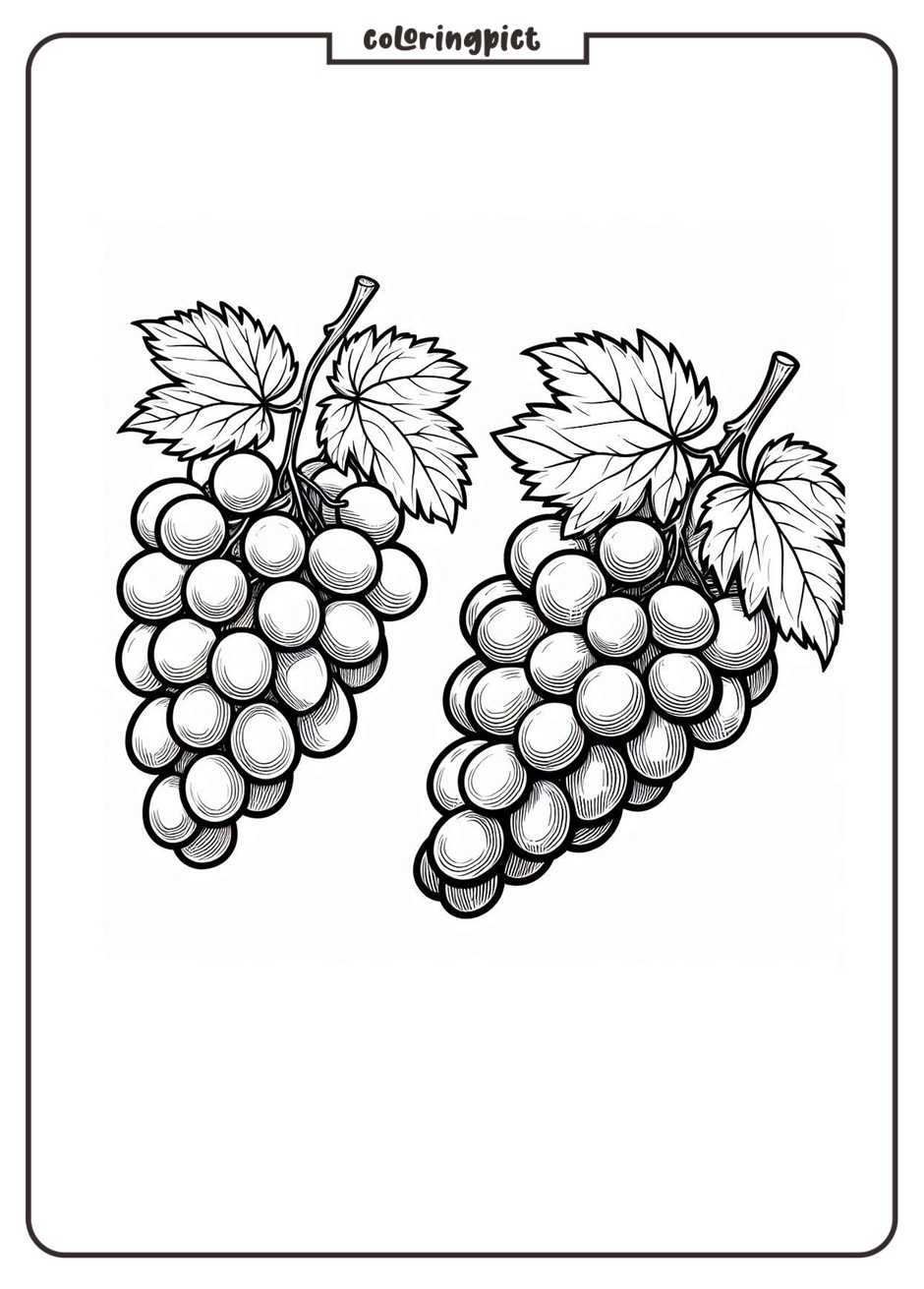 Fresh and Delicious Fruit, Grape Coloring Page 1 grape coloring pages for kids