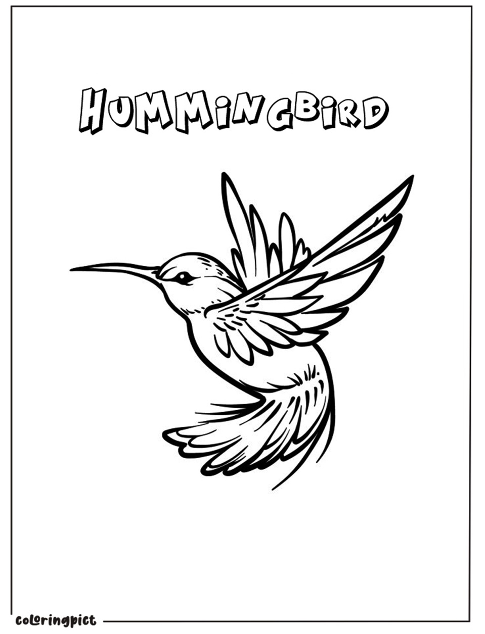 hummingbird coloring pages for Kids