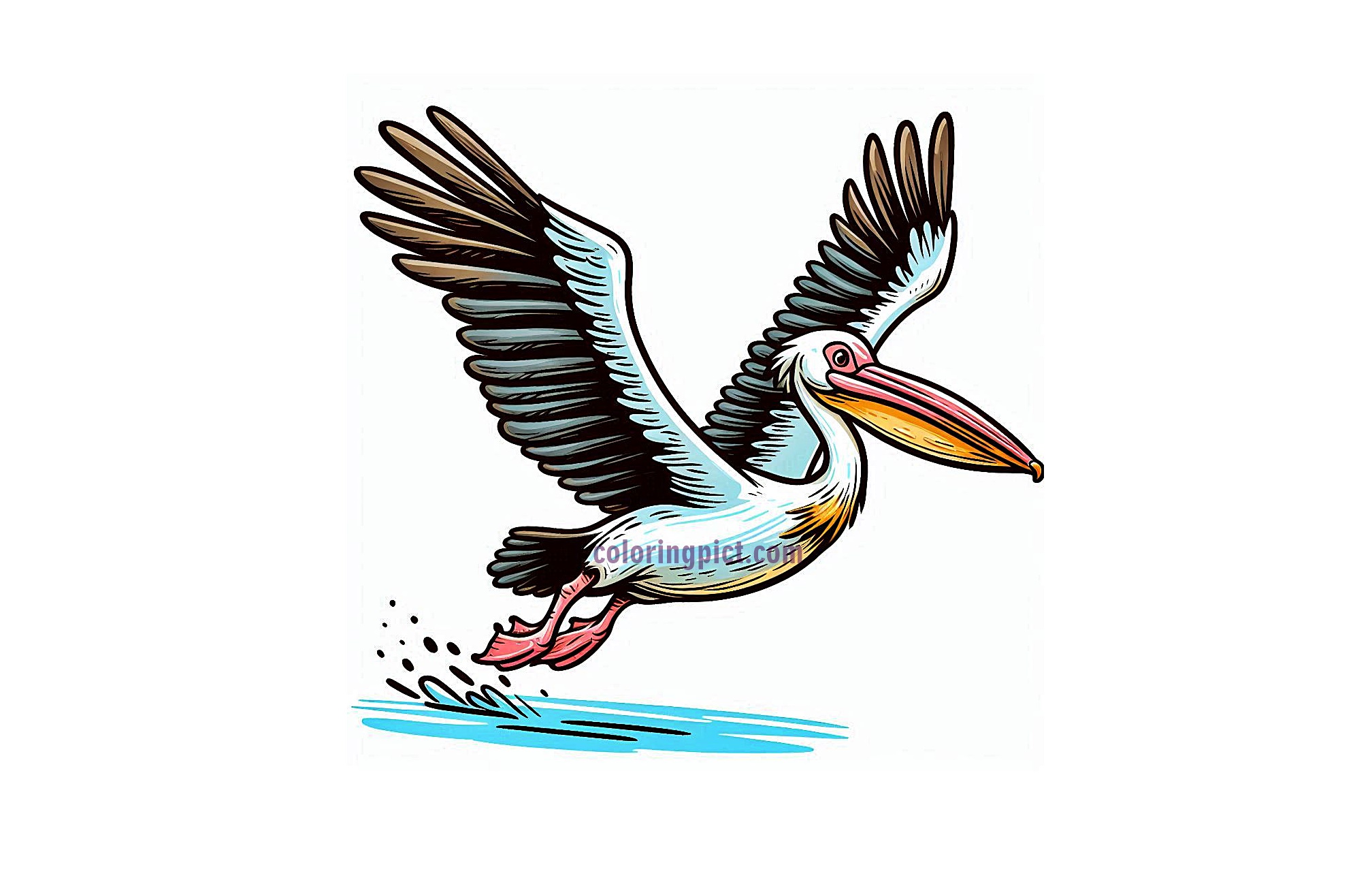 image Pelican in Flight Coloring