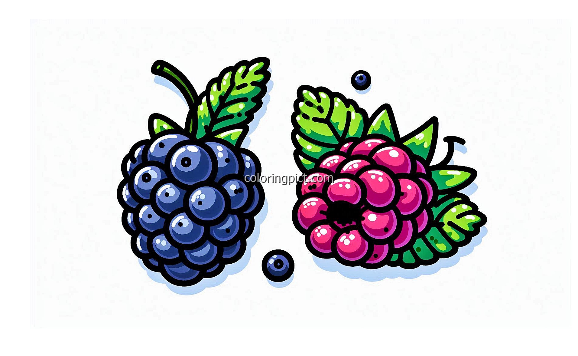 image of marionberry fruit coloring
