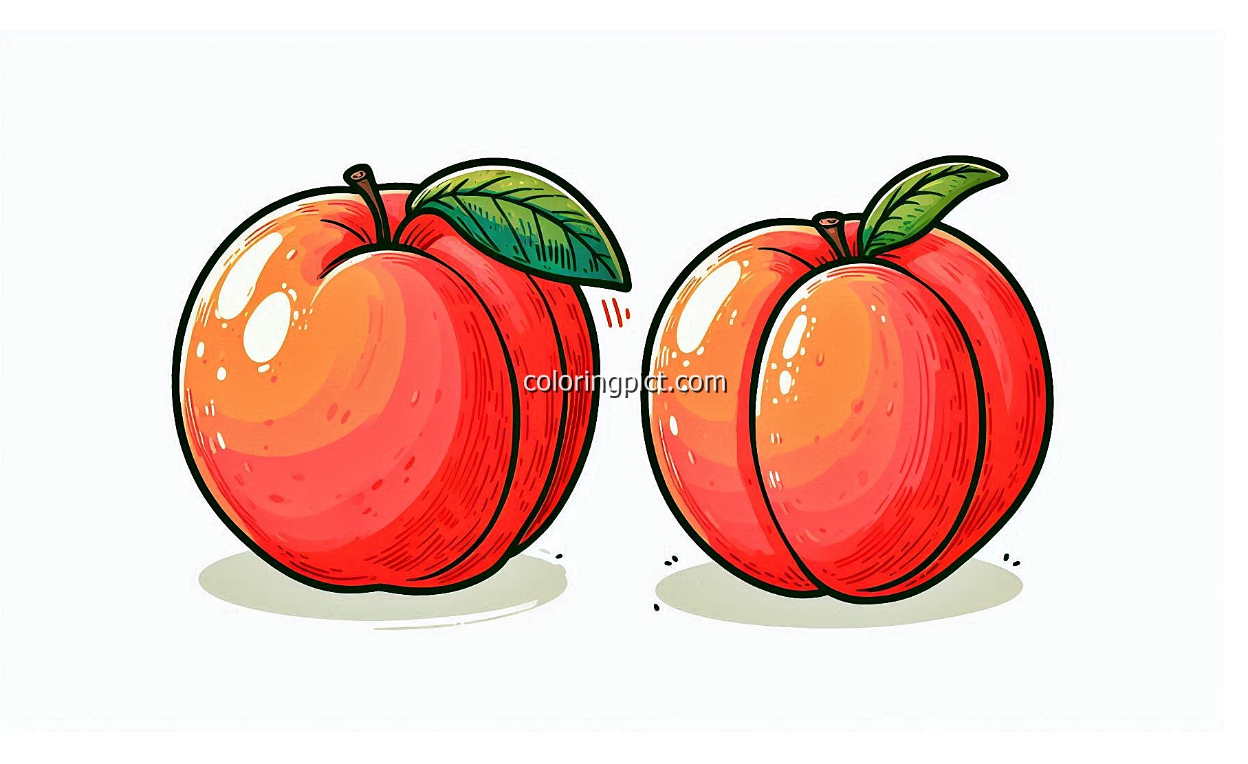 Bring the Sweetness of Peaches to Life with Color 1 image of peach coloring