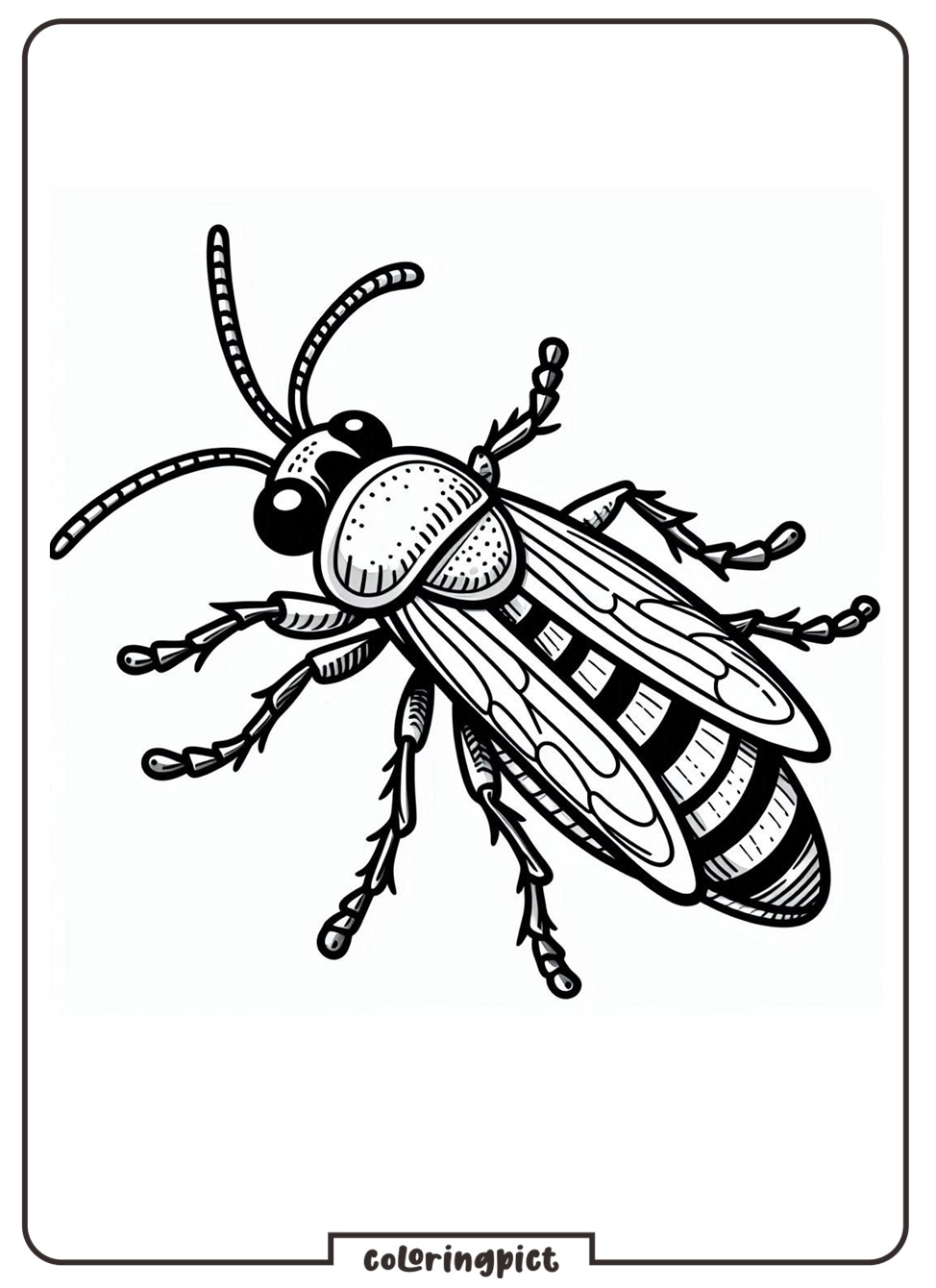 insect coloring picture