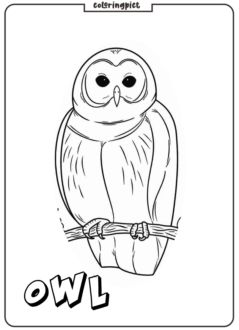 owl coloring pages printable