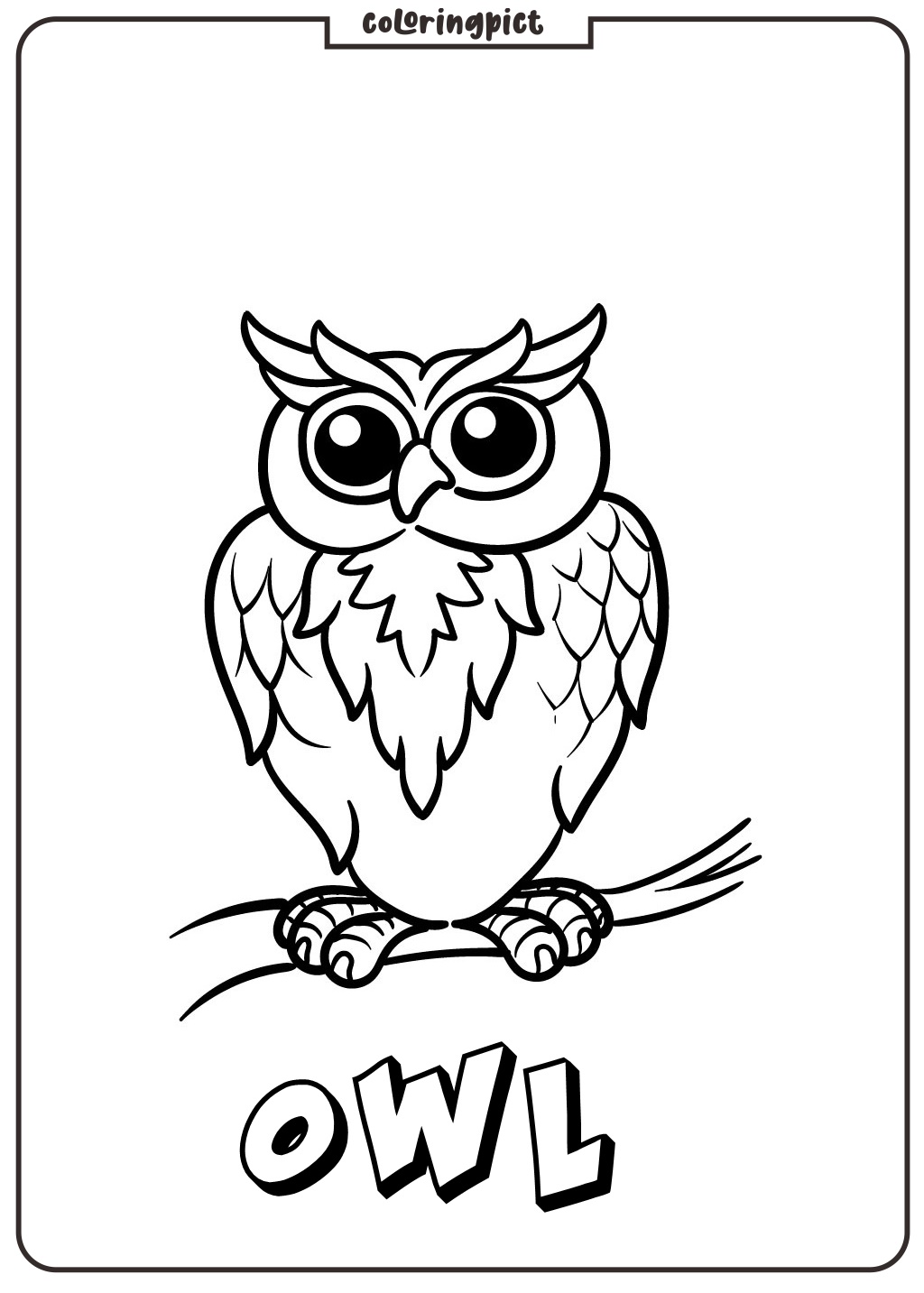 owl page coloring print