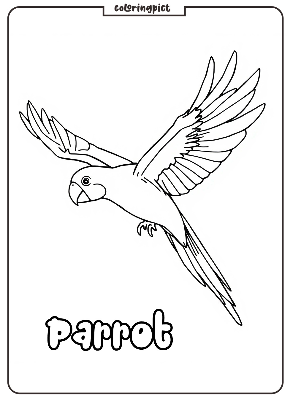 Parrot in Flight Coloring Page 3 parrot in flight coloring page
