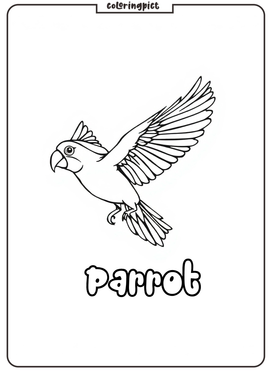 Parrot in Flight Coloring Page 5 parrot in flight coloring pages
