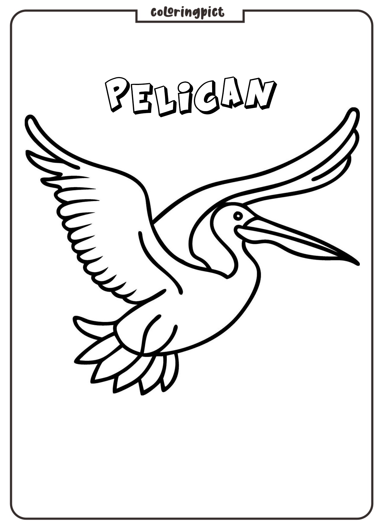 pelican in flight coloring page