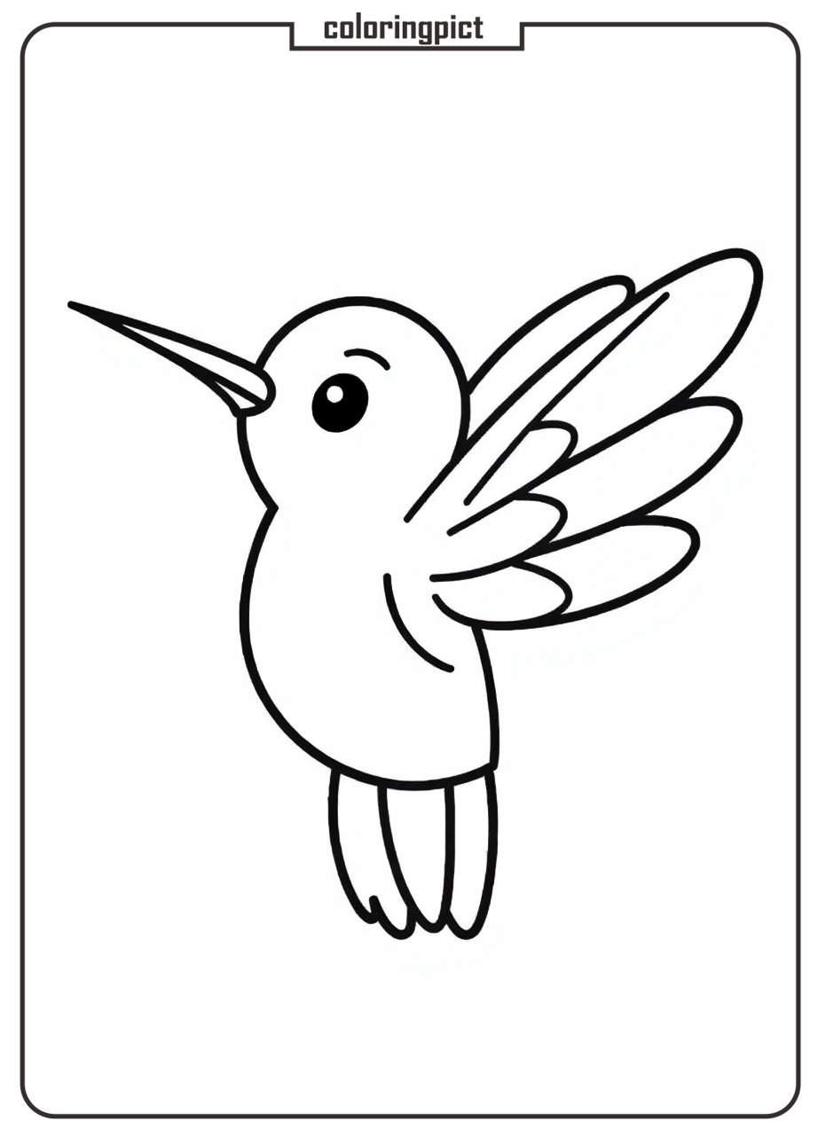 printable hummingbird coloring pages