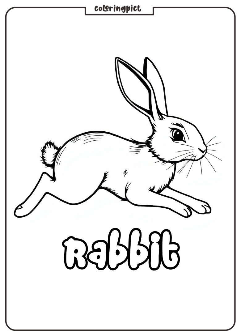 printable rabbit coloring book