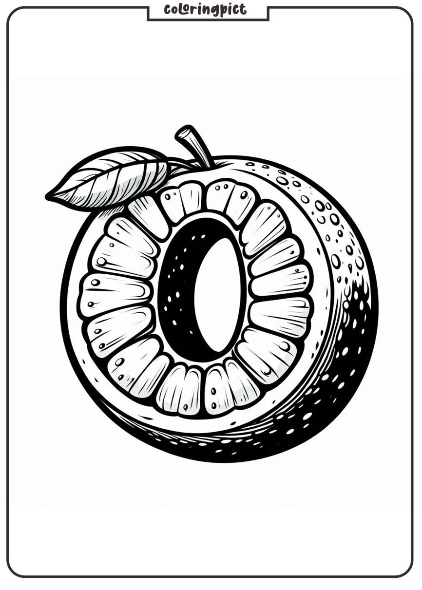 Alphabet Letter O with Oranges Coloring Pages for Kids 2 Alphabet Letter O with Orange Coloring Pages